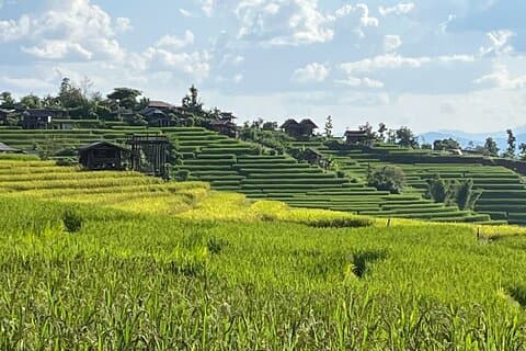 Private Tour to Chiang Mai Rice Terraces and National Park