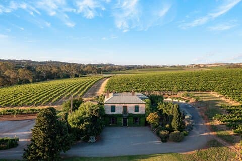 L'expérience de dégustation de vin Florita