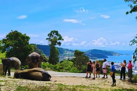 Hotell i nærheten av Phuket Hightlight Elephant Sanctuary