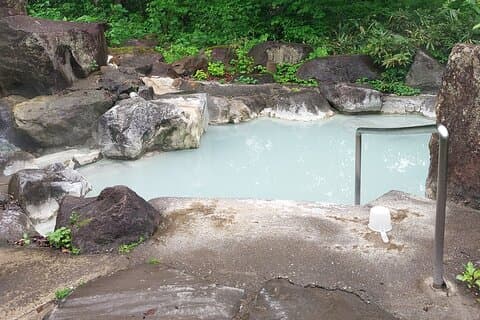 Tsubame Onsen & Lake Nojiri: Nature Walk and Lunch Tour