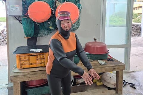 Private Meeting with a Haenyeo: Jeju Shore Excursion
