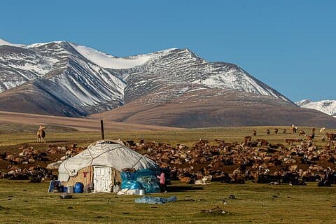 Discover Altai Mountains 8-Day Joining Tour in Western Mongolia