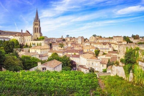 Tour de meio dia Saint-Emilion: Village & Château com degustação de vinhos