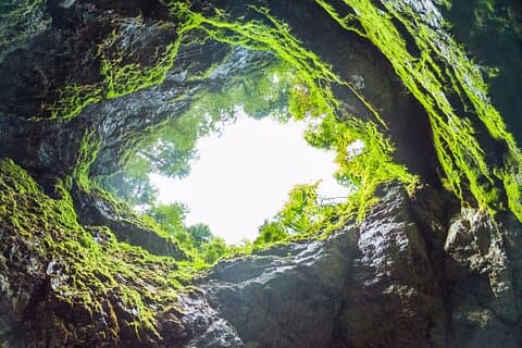 Half Day Tour - Algar do Carvão Lava Route