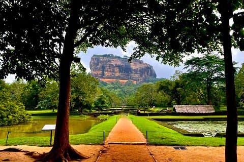 Excursión de un día a Sigiriya y Dambulla con guía turístico autorizado