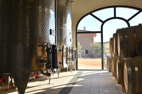 Tour e degustazione di vini nella Palette AOC