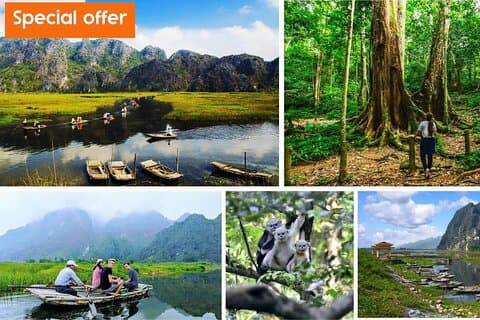 Ninh Binh One Day Cuc Phuong National Park Small Group Tour
