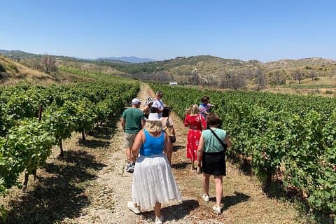 Private Tour Rhodes, Valley of the Butterflies & Local Winery