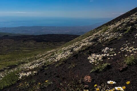 Catania : Morgonjeeptur i Mount Etna och Lava Flow-grottorna