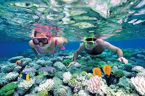 Tour della spiaggia di Nha Trang in autobus e acqua