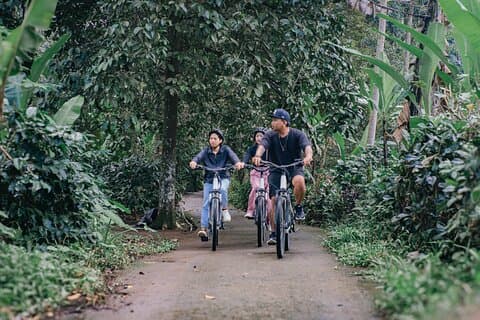 Vélo à travers les villages et la jungle dans le nord ubud
