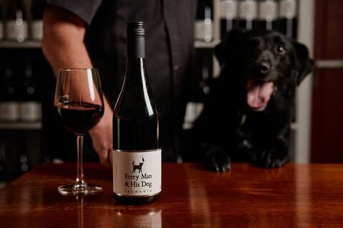 Wine Tasting Experience at Every Man and His Dog Vineyard