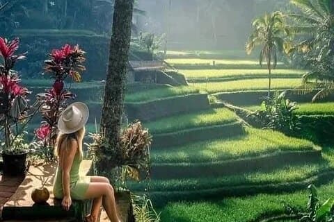 Det bästa med Ubud Sightseeing Privat All Inclusive Tour