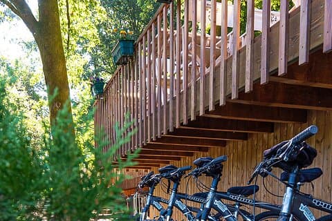 ALQUILER - Bicicleta de montaña y bicicleta eléctrica