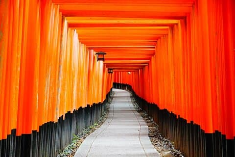 Kyoto Private Highlights Tour (tilpassbar)