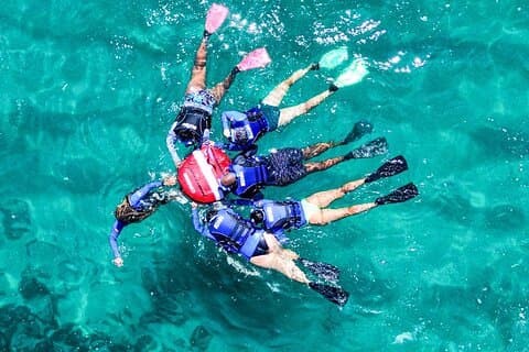 Snorkling med skildpadder