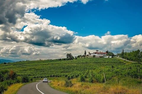 Dracula Grab, Weinmuseum, Mittagessen im Weingut, Mogoșoaia Palast