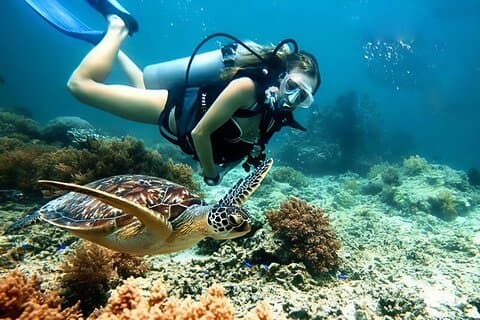 Snorkling og dykking i Cham Islands fra Da Nang eller Hoi An