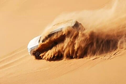 Dubai Desert Escape: Safari, Falcon, Camel & BBQ Middag på Röda sanddynerna