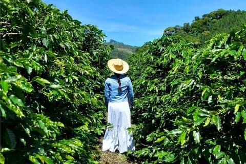 Zandonade Special Cafes Tour in the Capixabas Mountains