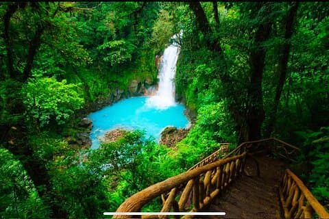 Rio Celeste Waterfall Combined with Rainforest Wonders