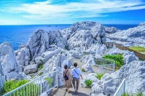 Viagem de um dia à prefeitura de Wakayama com atividade de colheita de frutas
