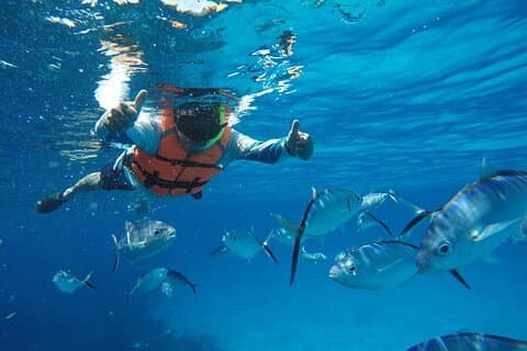 Delt snorkeltur til El Cielo sandbanke i Cozumel med C