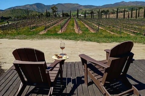 One day Round-Trip Tour from the Border to Valle de Guadalupe
