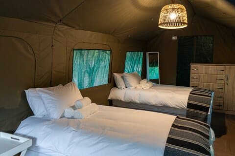 Johannesburg Victoria Falls Gedeelde 7-daagse tripervaring