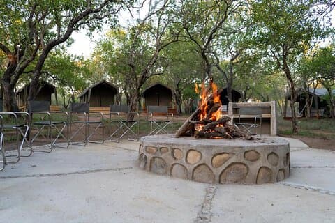 5 dias de glamping safari no Parque Nacional Kruger