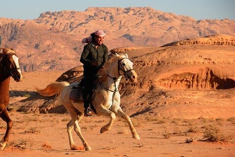 Hurghada : Désert à cheval arabe et mer Rouge