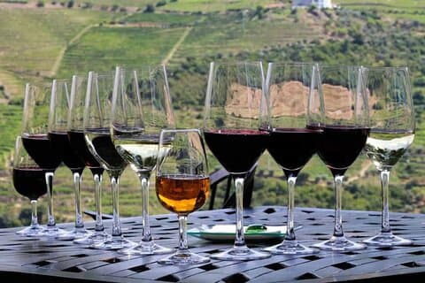 Douro Valley Wine Tour med 2 vingårder, lunsj og cruise