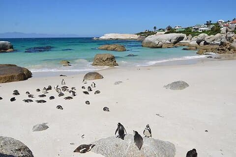 Hoedspruit Meerdaagse Kaapstad Tour
