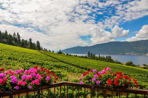 Sorseggia & assapora: Fuga privata lungo la West Kelowna Wine Trail