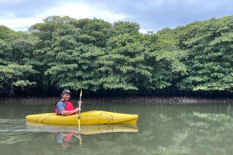 Iriomote's eventyr: Hoteller i nærheden af Pinaisara Falls Canoe and Trekking Tour