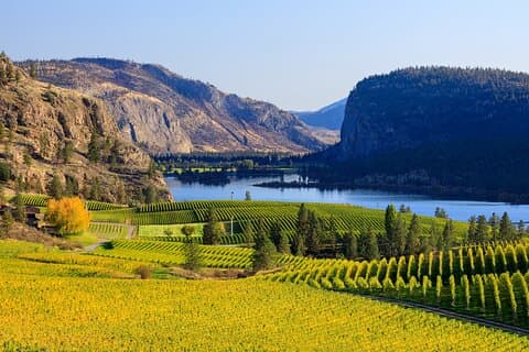 Tour privato del vino e della barca di Vernon sul lago Okanagan