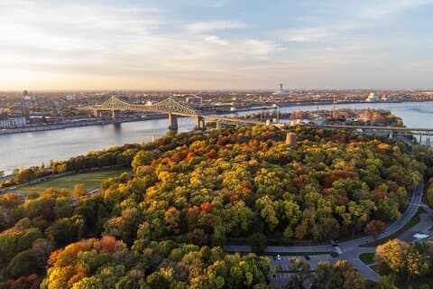 Ultimate Private Montreal City Tour: Cultura, Vista, Gosto local