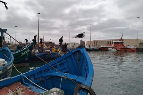 Excursion privée d'une journée de Marrakech à Essaouira 1 à 4 personnes