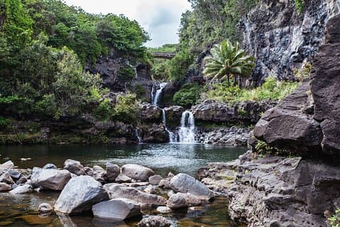 Maui : Camino a Hana Aventura con Granja a Mesa Almuerzo