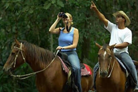 Restaurantes em Tulum Jungle Horseback, Cenote & Turtle Swim