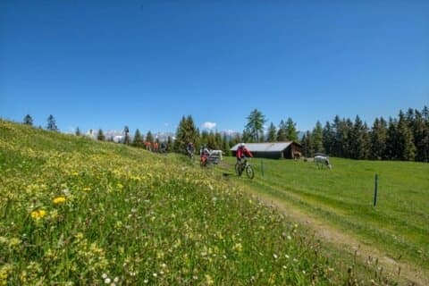 Panorma E-Bike Tour Seefeld