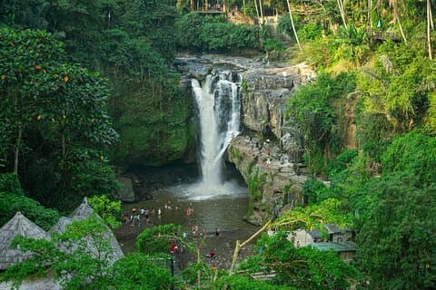 Private Tour of Bali’s Ubud: Culture, Nature & Heritage