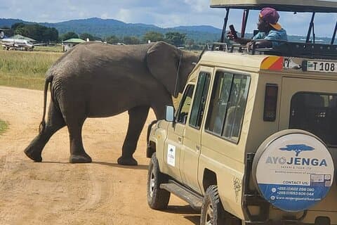 Restauranter i nærheten av Tarangire National Park