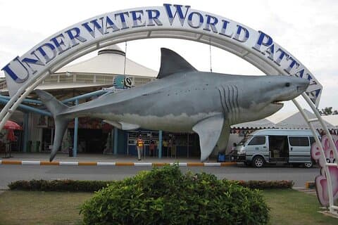 Underwater World Pattaya billetter med valgfri hotell transfer