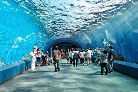 Pattaya Underwater World Billetter