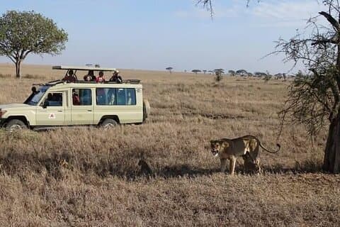 3 dagar och 2 nätter Masai Mara-gruppen ansluter sig till budgetsafari