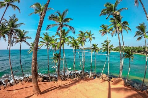Sri Lanka privat tur - 7 dagar med förare och fordon