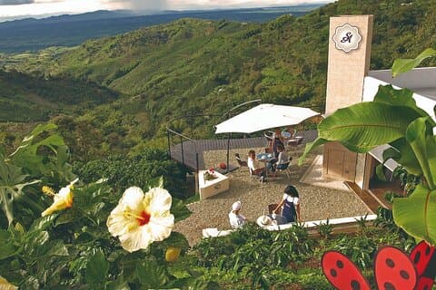 Coffee Farm Experience at Hacienda San Alberto from Salento