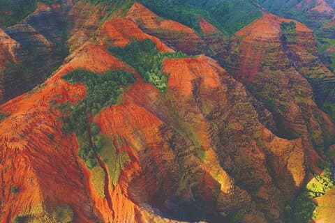 Excursión de un día desde Oahu a Kauai : Excursión al cañón de Waimea & Koke'e