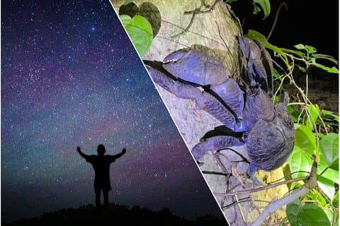 Okinawa Miyako Jungle & Starry Sky tour Gratis ophalen en wegbrengen